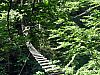 IMG_6553.JPG